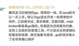 美团程序员最新爆料,揭秘内部技术革新与挑战